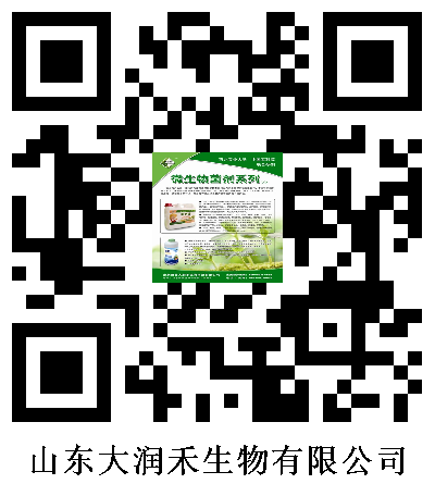 1506046338699test.png